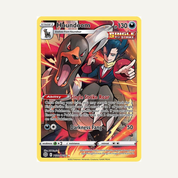 Houndoom #TG10