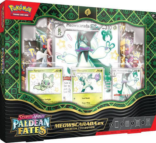 Paldean Fates - EX Box
